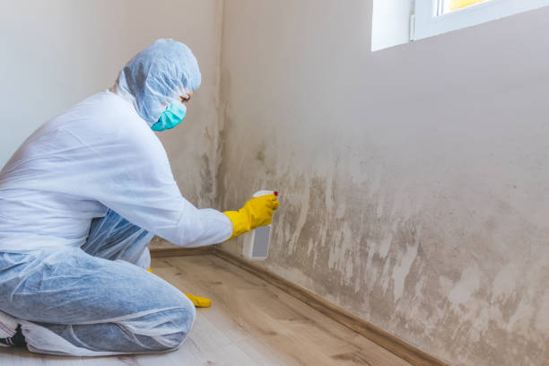 Hvac And Air Duct Mold Remediation inspection of HVAC system in Jamaica